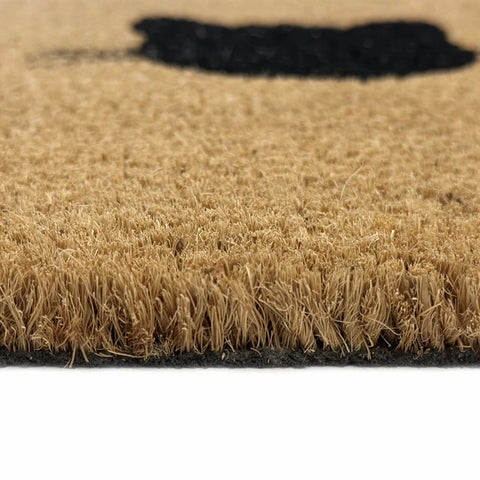 Kaşmir Halı Cat Home Coco Doormat 40x60 Cm  