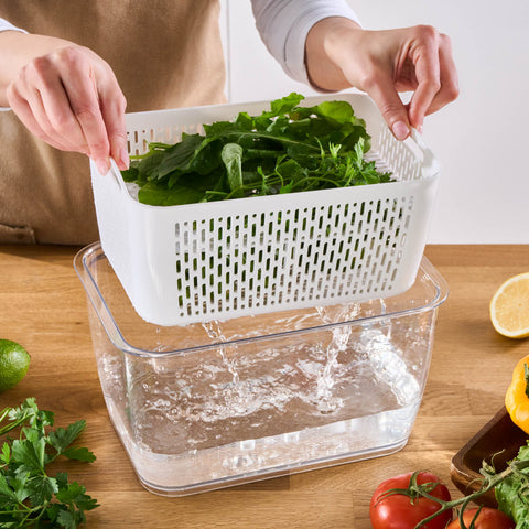 Karaca Citrus Gemüse / Obst Lagerbehälter XL